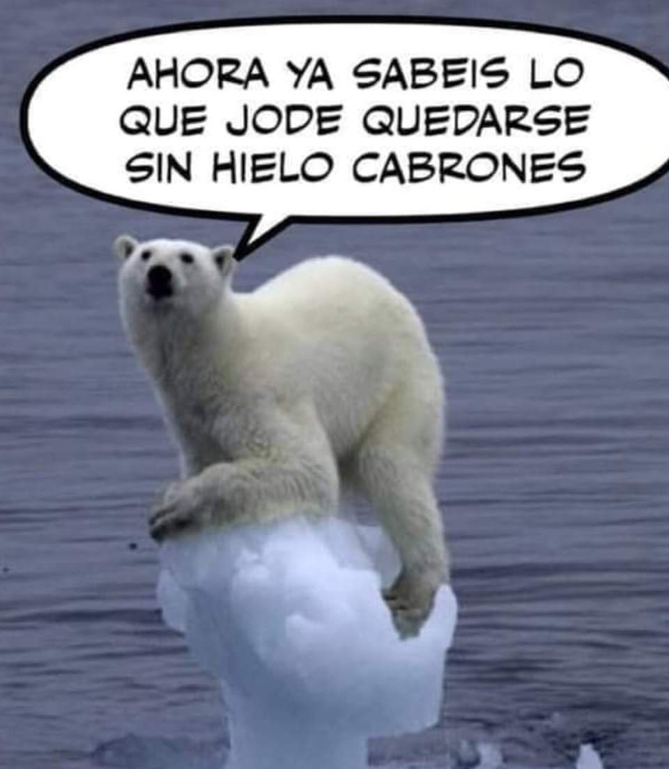 AlfonTW's tweet photo. A ver si aprendemos https://t.co/4OuAIKc8xq