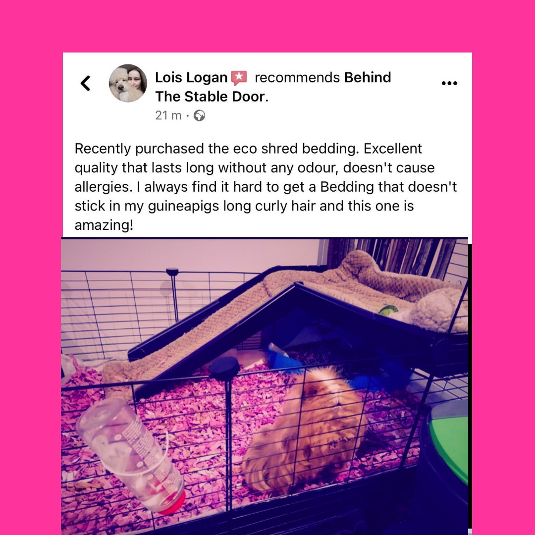 Feeling the ❤️ from our new customers. This matters a great deal to a new start Social Enterprise venture. We have had three online recommendations in one week! Well done team <a href="/behind_stable/">Behind The Stable Door</a> and the fabulous product <a href="/ecoshredbed/">Ecoshred Bed</a>. No need for waste in NI when this is the result ♻️