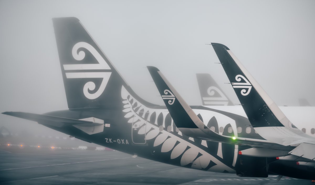 Paul Le Comte Toitū Te Tiriti tweet media