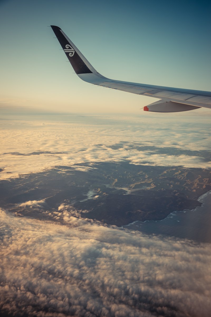 Paul Le Comte Toitū Te Tiriti tweet media