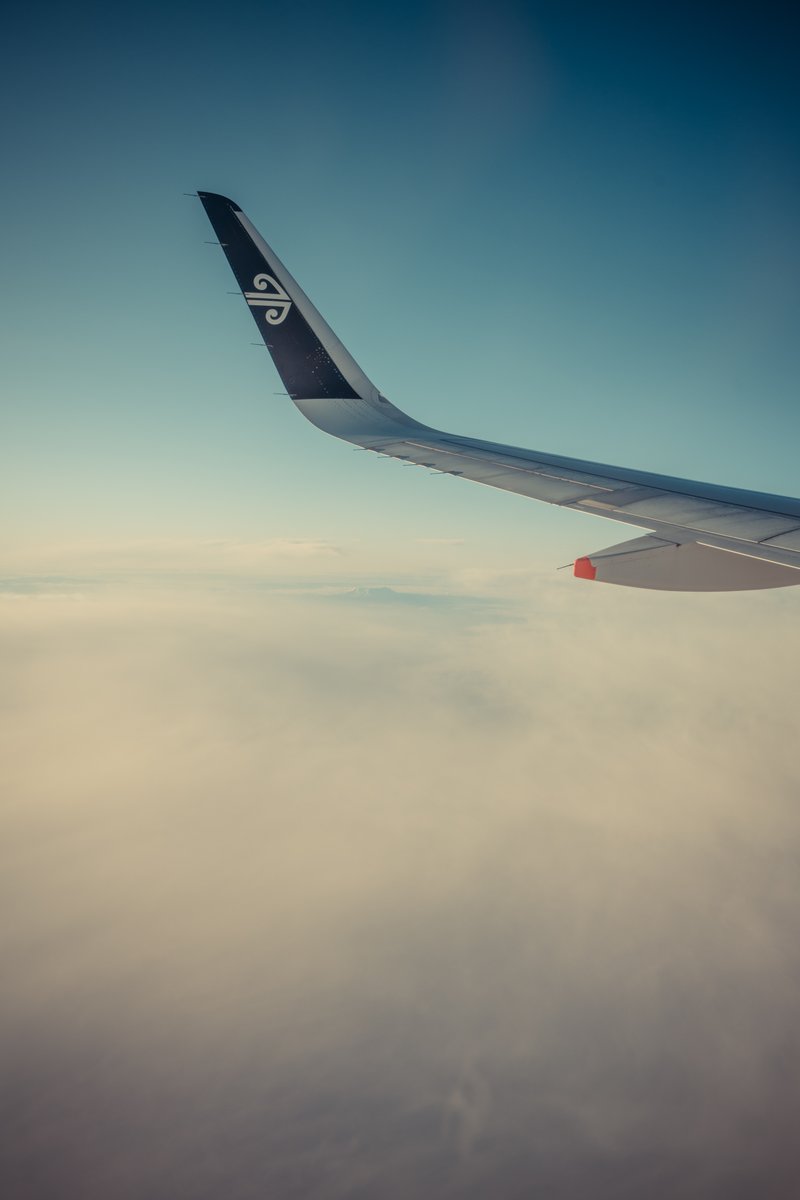 Paul Le Comte Toitū Te Tiriti tweet media