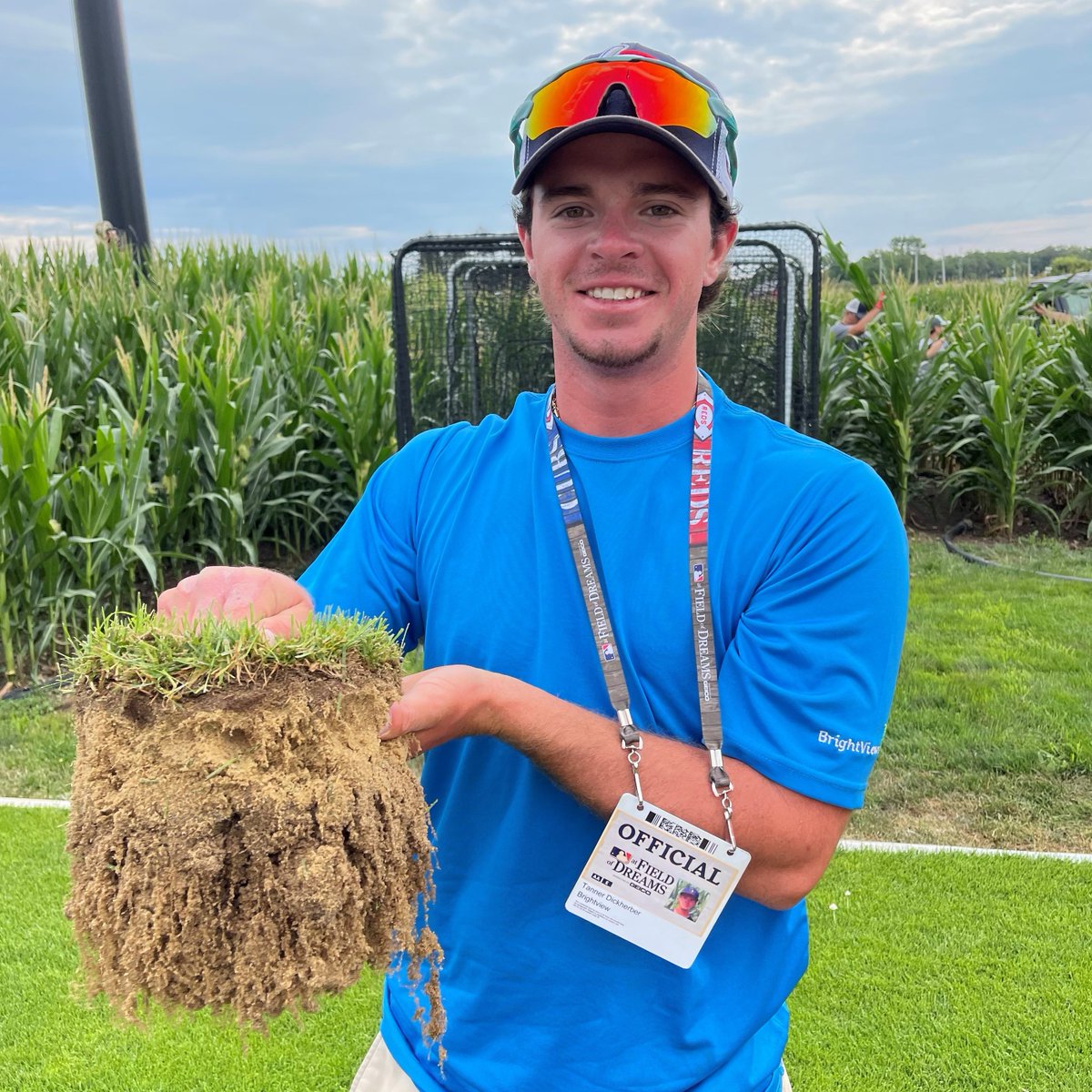 Mountain View Seeds tweet media