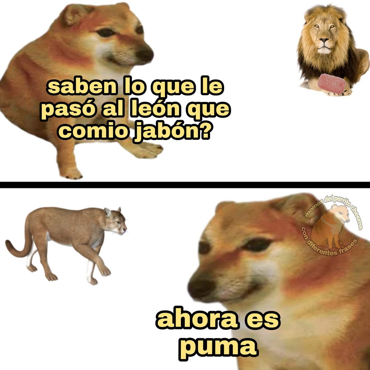 _onerolita's tweet image. me reí