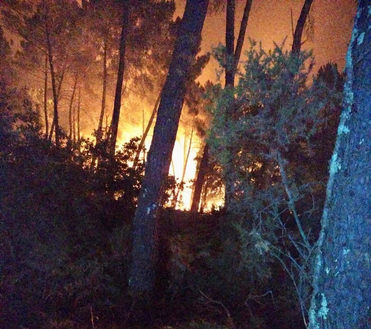 apsssm83's tweet photo. Un binôme Médecin / Infirmier accompagne la colonne de renfort @SDIS83 en @gironde. Ils travaillent en soutien de nos collègues sapeurs-pompiers engagés dans ce contexte difficile depuis hier. Courage à eux. #soutien #prévention #soins https://t.co/NhR4wJmMOO