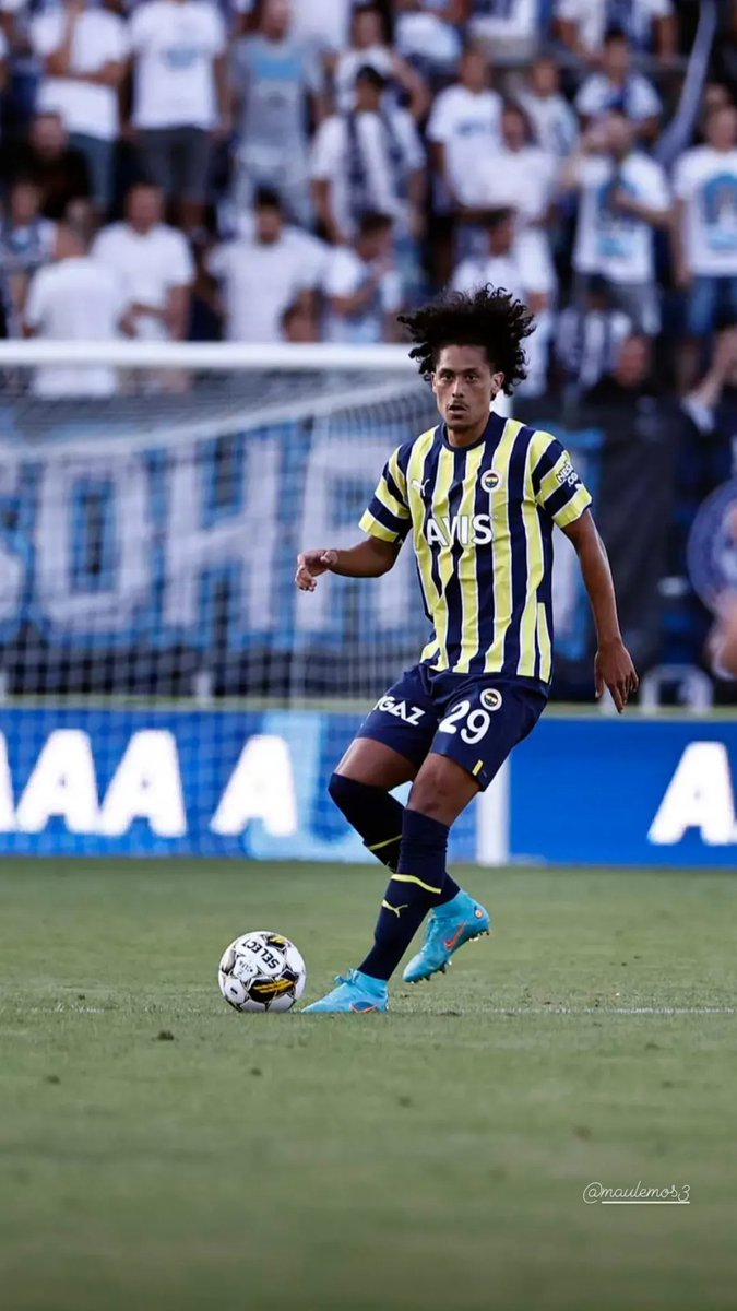 Mauricio Lemos tweet media