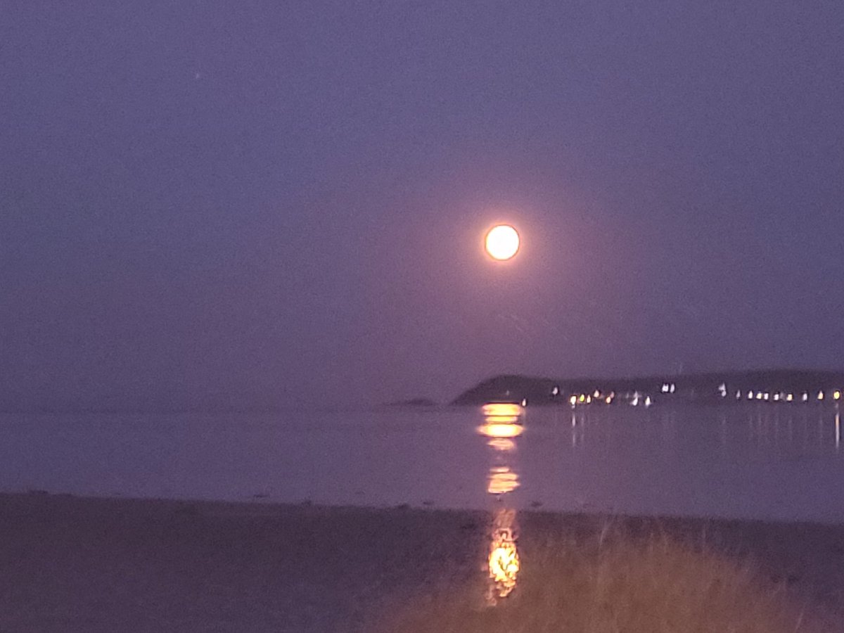 BrigidWalsh10's tweet photo. #supermoon π#Abbeyside
looking across #HelvickHead πΏππΏ
#BlessedAndGrateful
#GoodNightTwitterWorld https://t.co/1yxRCEgLpe