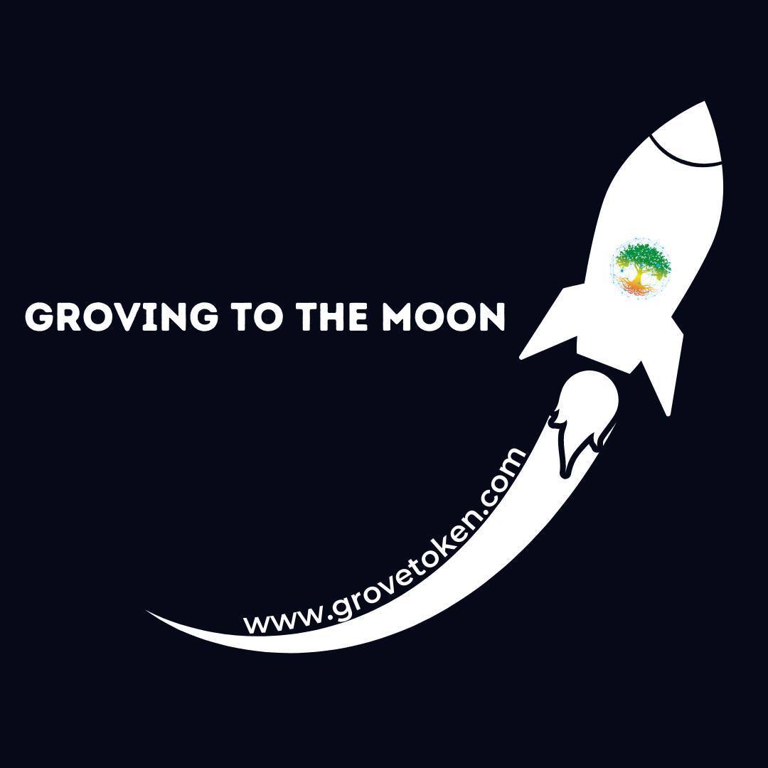 Amooor1st's tweet photo. ✅ Today #GroveToken will be listed on TOP 20 Exchange 🔥🔥 

✅ Today we will reach 28,000 Holders 🚀🚀

#GroveTokenDubaiLLC #Binance $GVR https://t.co/VTlroayvr4