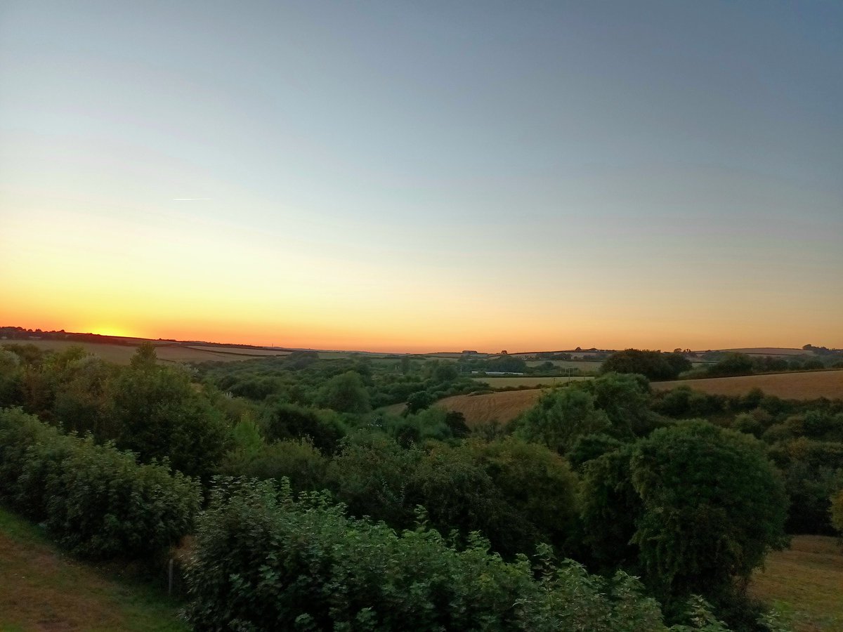 ArtificialDevon tweet picture