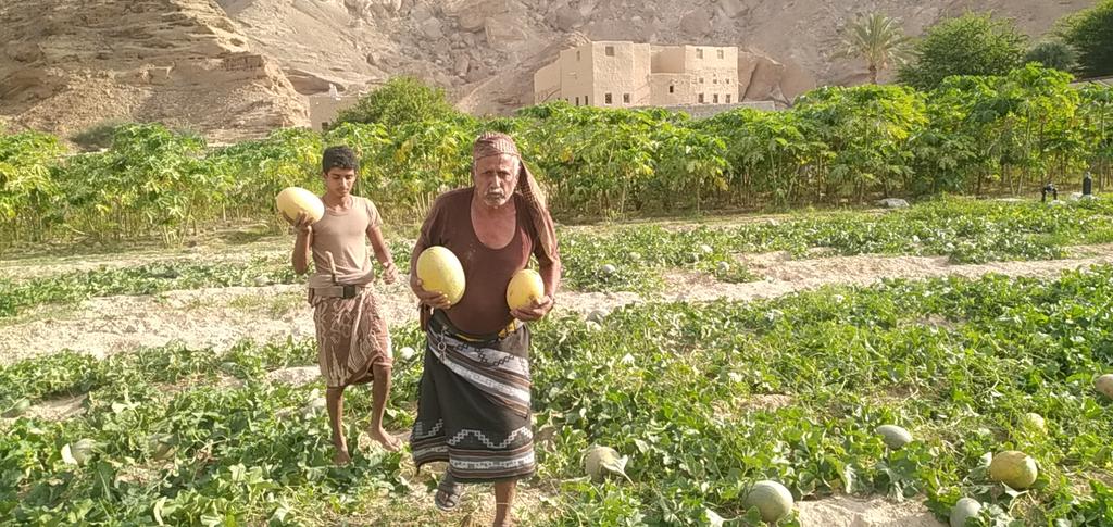 NabilMNSS's tweet photo. @sVTI4bpviSjFi65 @SMEPSYEMEN @SFDYemen @ksr_ye @ksr_kw بالتوفيق والنجاح دوما أيها الرائع اخي محمد  
 @SMEPSYEMEN @SFDYemen @ksr_ye @ksr_kw https://t.co/qC848Cpwgb