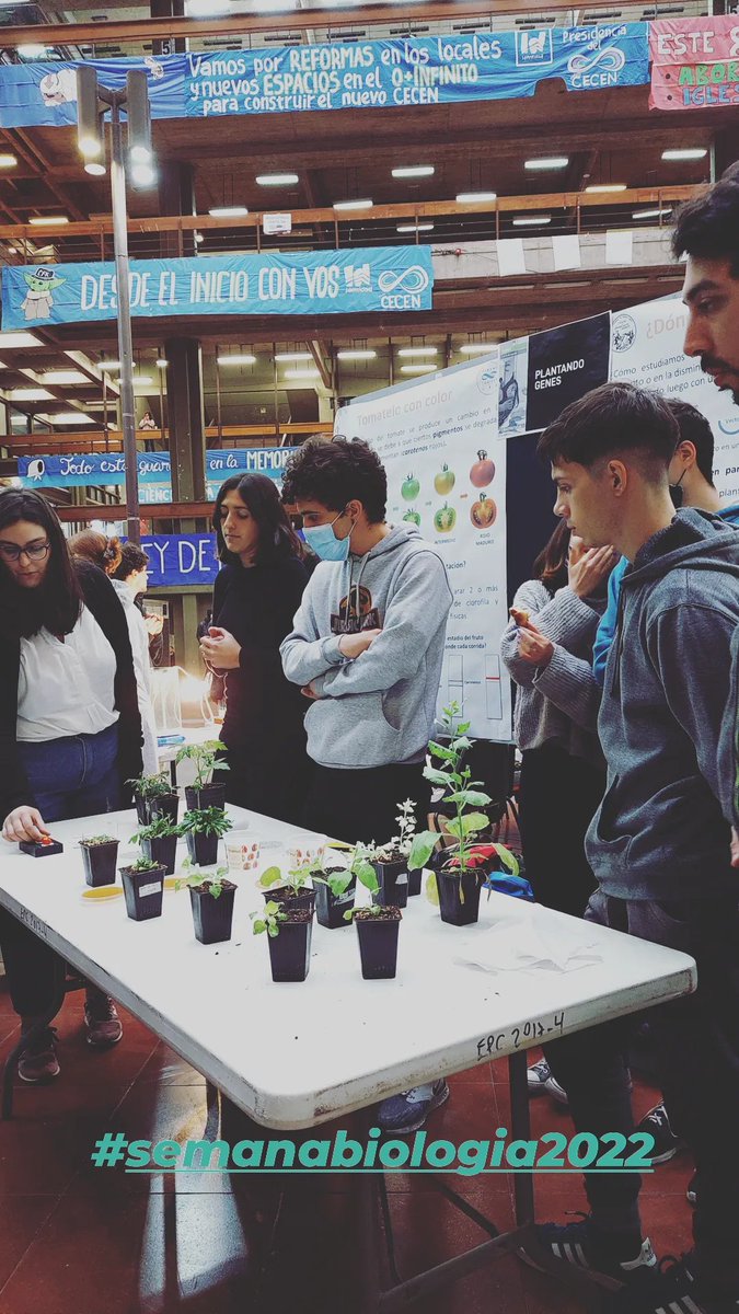 florchirodri's tweet photo. Un poco de lo que fue la #SemanadelaBiologia2022 en 📍FCEN UBA📍. En nuestro stand 🌱Plantando Genes🌱 le mostramos a alumnos de secundaria con que trabaja un biólogx molecular de plantas usando las 3 plantas modelo: Arabidopsis, Nicotianas y Tomates Micro-Tom. 🧬💪 https://t.co/xTS6eEf7Bp