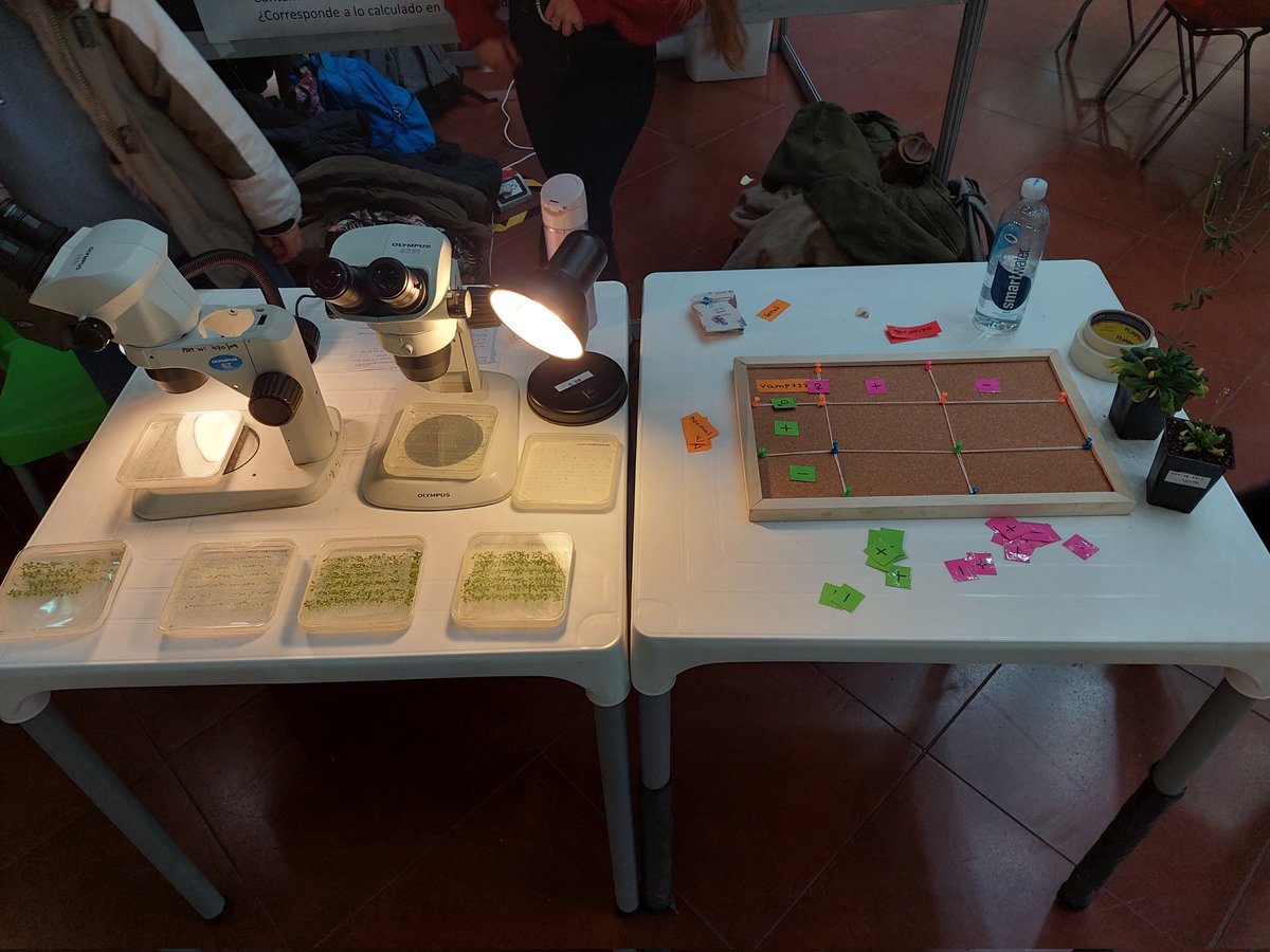 florchirodri's tweet photo. Un poco de lo que fue la #SemanadelaBiologia2022 en 📍FCEN UBA📍. En nuestro stand 🌱Plantando Genes🌱 le mostramos a alumnos de secundaria con que trabaja un biólogx molecular de plantas usando las 3 plantas modelo: Arabidopsis, Nicotianas y Tomates Micro-Tom. 🧬💪 https://t.co/xTS6eEf7Bp