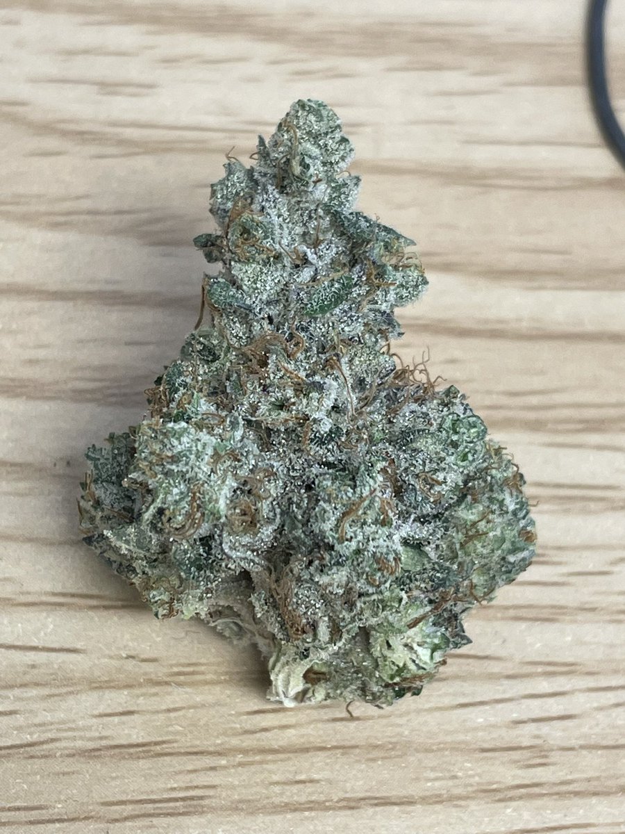Cookies Hayward (@cookies_hayward) on Twitter photo We Can’t Wait To Try This “Khalifa Mints” By <a href="/wizkhalifa/">Wiz Khalifa</a> <a href="/khalifakush/">Khalifa Kush</a> ⛽️ 🪴 ! Dropping This Friday! We Can’t Wait To Try This “Khalifa Mints” By <a href="/wizkhalifa/">Wiz Khalifa</a> <a href="/khalifakush/">Khalifa Kush</a> ⛽️ 🪴 ! Dropping This Friday!