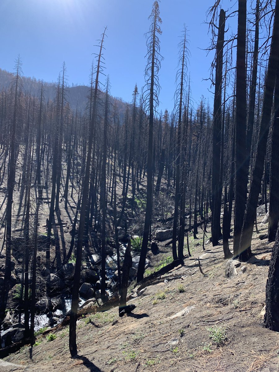 Kelly Loria tweet media