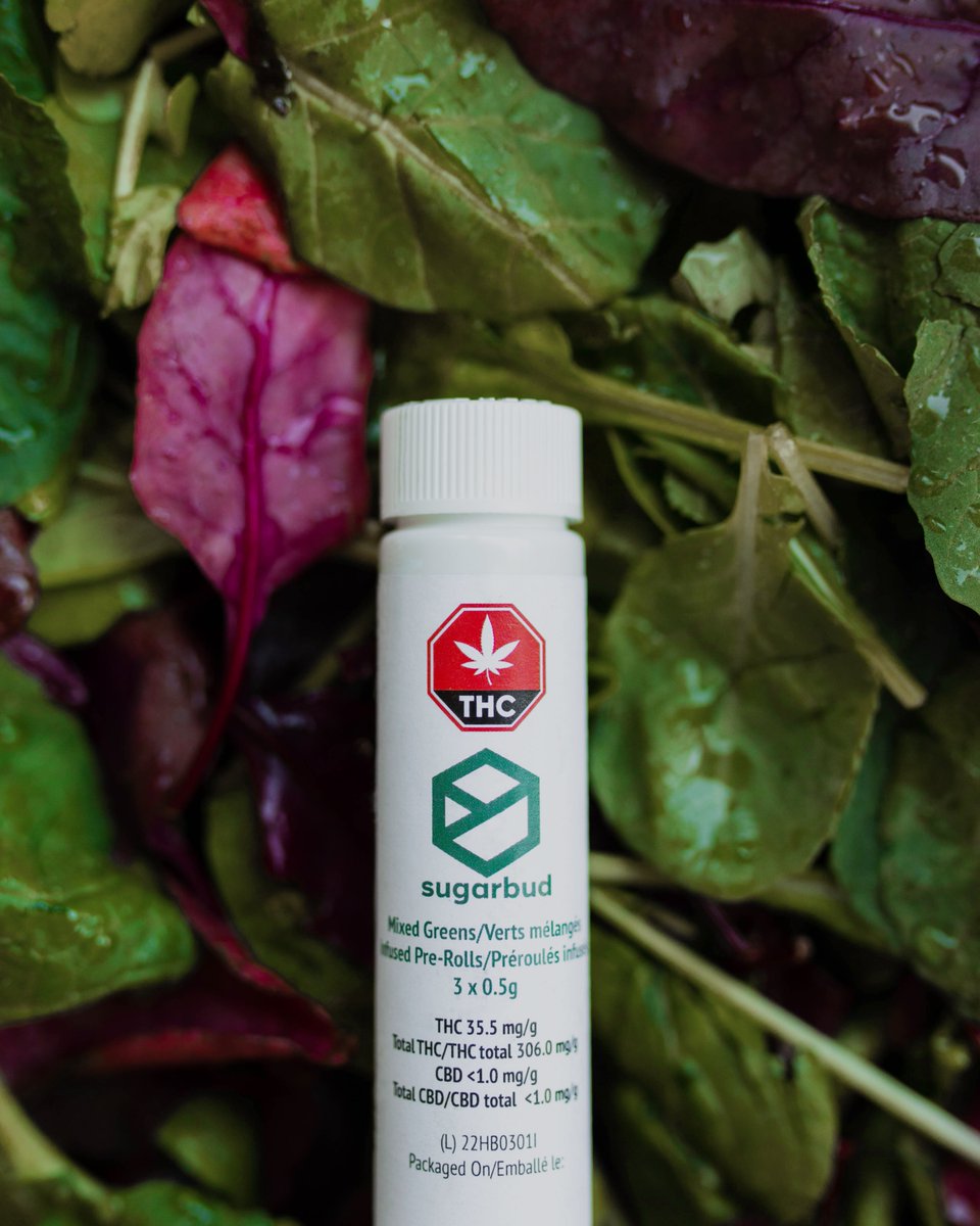 What is the mix, in Mixed Greens? Our GMO Cookies flower you’ve come to know and love, packed with a punch of 75-149 dry sift hash, available in 3 x 0.5g pre-rolls.
For a fully hand-crafted experience, ask for #Sugarbud #MixedGreens at a fine Alberta retailer near you.