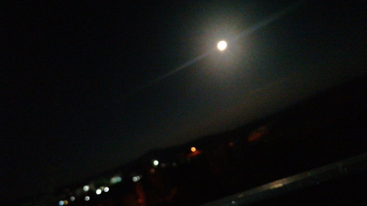 ℒ𝒶𝓋𝒾𝓃𝒾𝒶 (@oylesine1kadn) on Twitter photo 