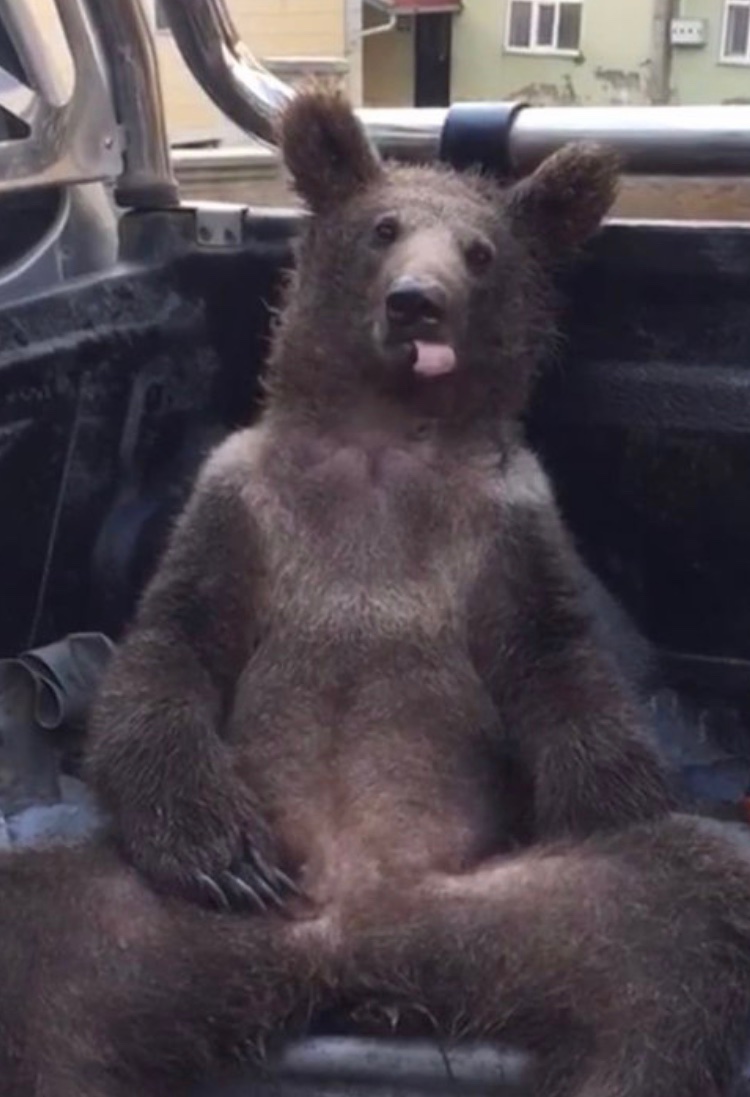 beni anzer balim diye seven arkadas