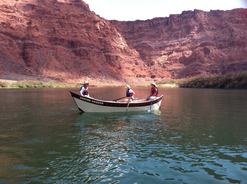 Walton Foundation tweet media