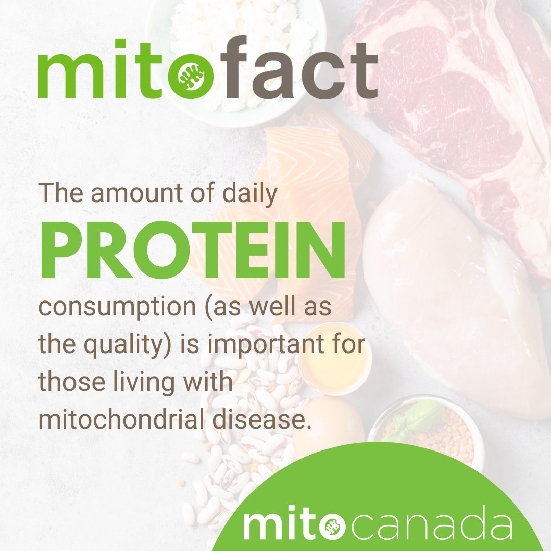 MitoCanada's tweet photo. Dr. Mark Tarnopolsky recommends consuming 20g of #protein within 30 mins of completing exercise.
The quality of protein matters. The best sources of protein for #mito patients are eggs, milk, fish, and meat.
If you’re using powdered protein, whey protein is best. #MitoFacts https://t.co/S0ZKmkiNr6