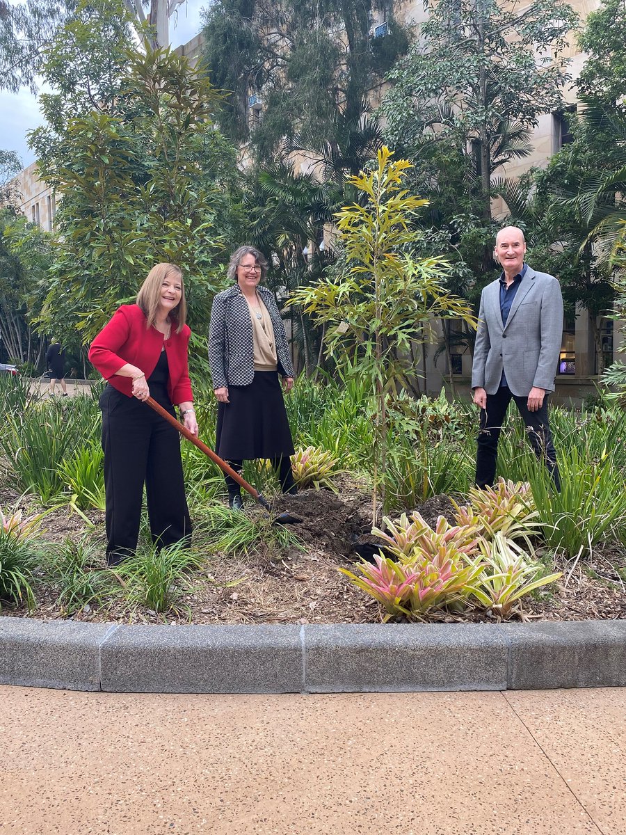 arc_gov_au's tweet photo. Yesterday ARC CEO, Ms Judi Zielke, attended the launch of the ARC Centre of Excellence for Plant Success @CoEPlantSuccess. The Centre will enable the sustainable future of plants in the face of climate challenges.
Read more: https://t.co/ChYkr2FMzW
#PlantSuccess #UQScience https://t.co/0jWMT48ODB