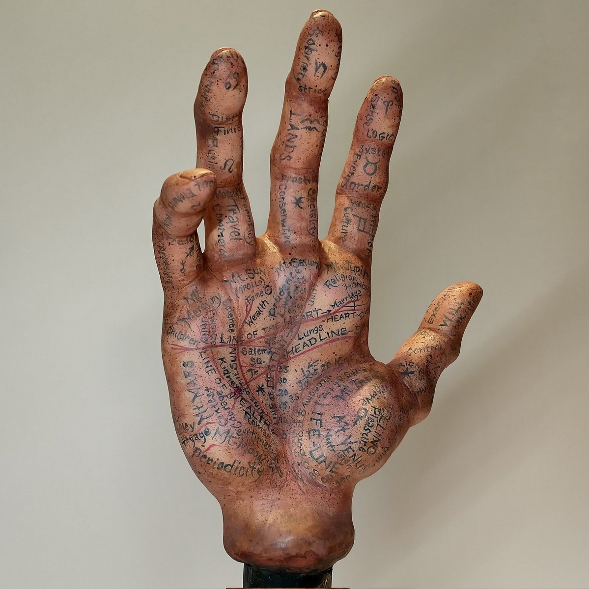 Sunnybiss's tweet image. My latest one of a kind sculpture: 
✨🔥The Palmistry Hand. 🔮🖐️🔥
#palmreading #palmistrychart #astrology