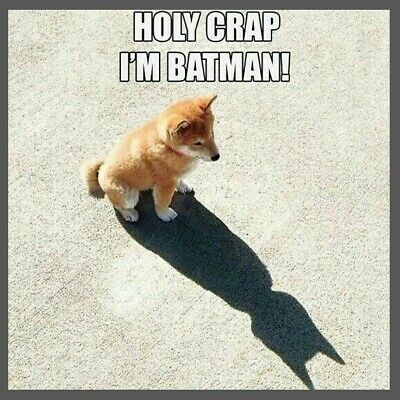 Bat Dog

#HBOMaxJustCanceled