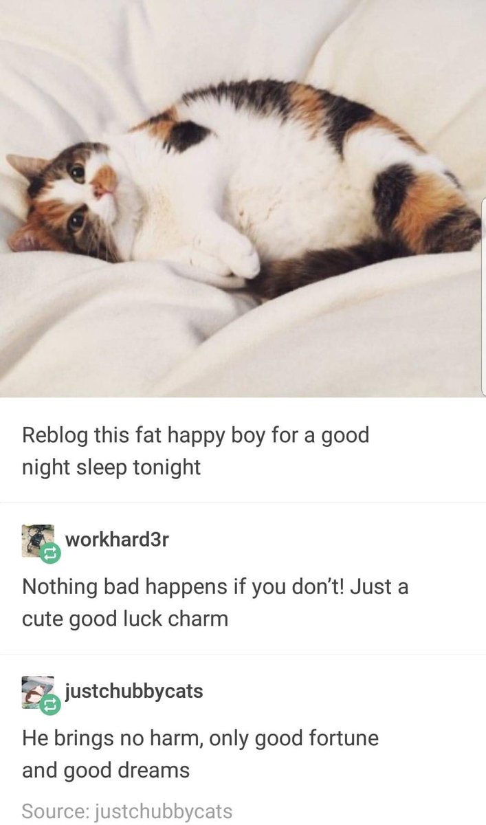 WholesomeMeme's tweet photo. https://t.co/FMqNXJjIL3