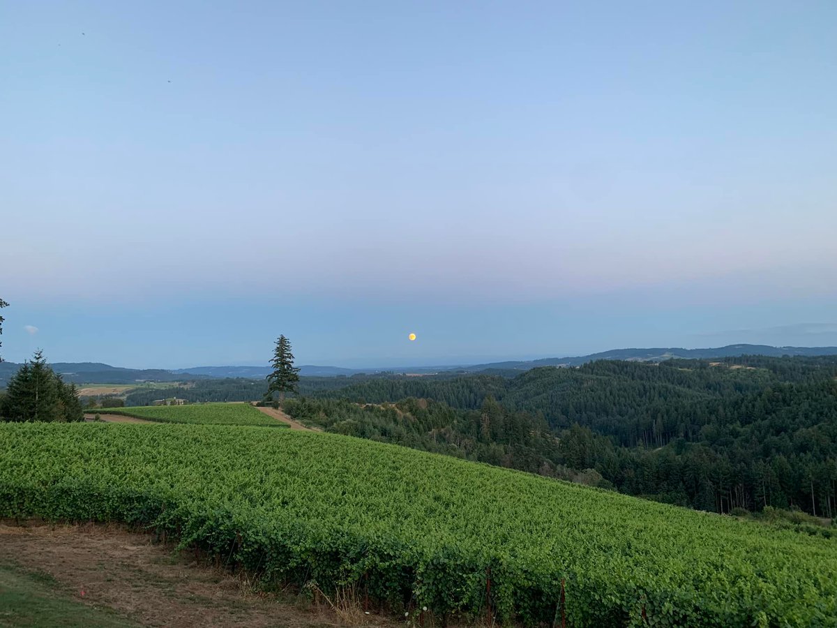 An astronomical double-header tonight.

The Perseid meteor shower peaks this evening (Aug 11) w/upwards of  60 to 100 meteors per hr.

Amid the Perseids' peak - the 3rd &amp; final supermoon of 2022. 

Shooting stars, a summer sky, &amp; a supermoon - Mother Nature is a marvel. Enjoy!