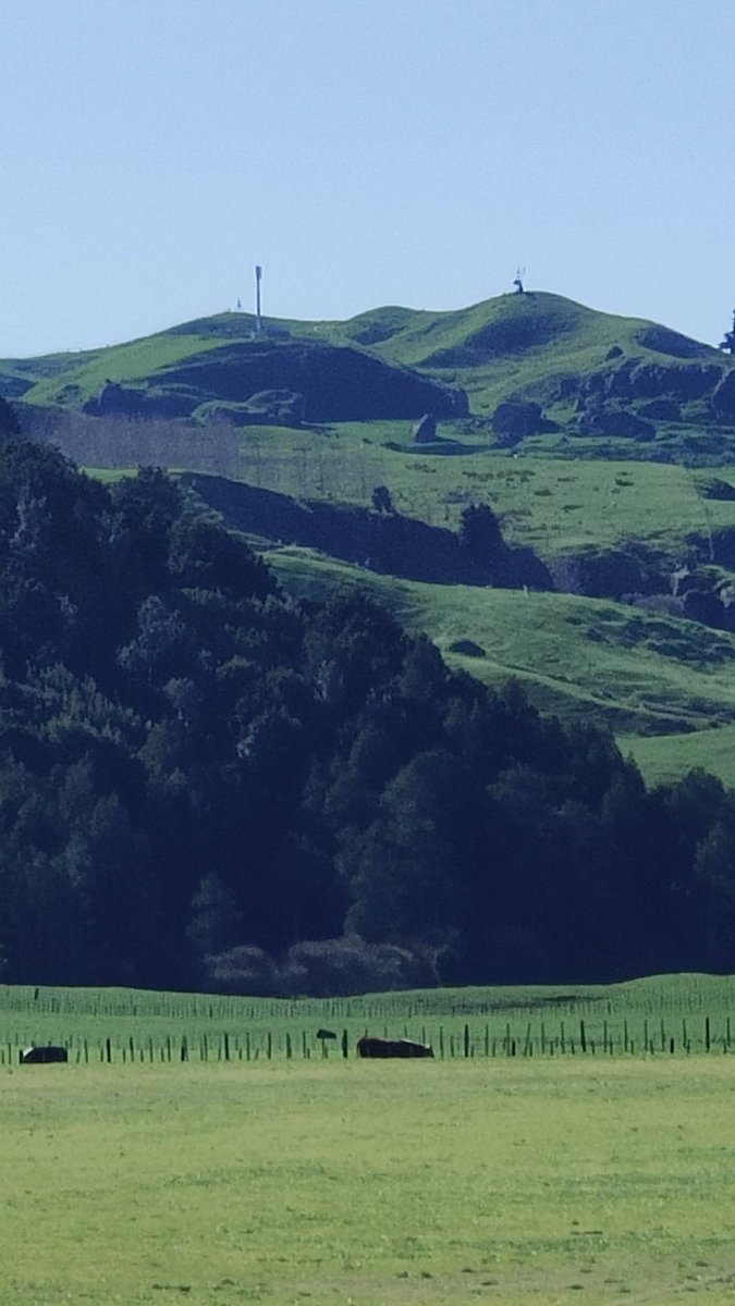 Out west Waikato this morning in Te Akau celebrating The RCGs 350th live site.  Good positioning of @RuralWomenNZ banner for the speeches.