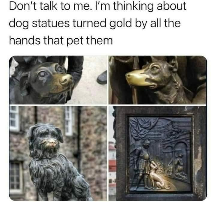 WholesomeMeme's tweet photo. https://t.co/lionuKjL2K