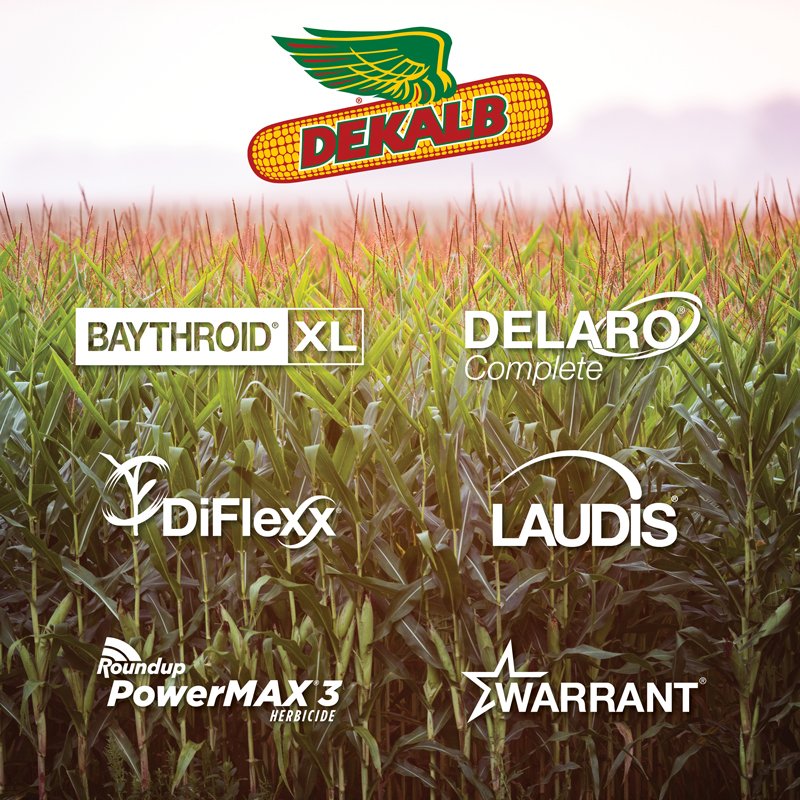 Keeping #corn at is best takes a full team effort. With #CropProtection products to support the strong corn  @DEKALB_Asgrow at #MLBatFieldOfDreams, what more could you want? 🌽😍