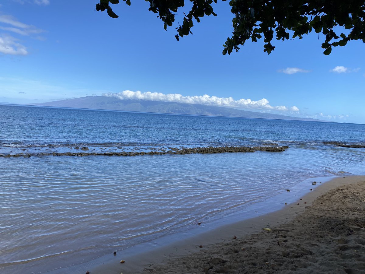 Patricia Brunner tweet media