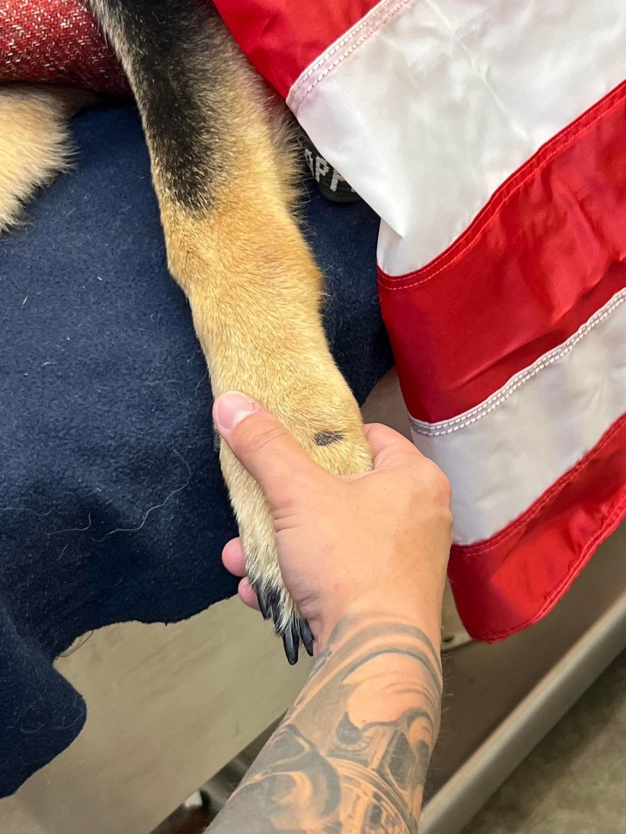 Slidell Police tweet media