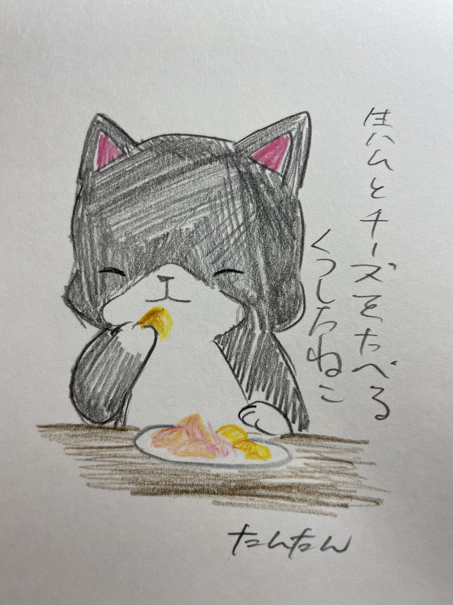 たんたん 毎日くつしたねこ Tantan Twitter