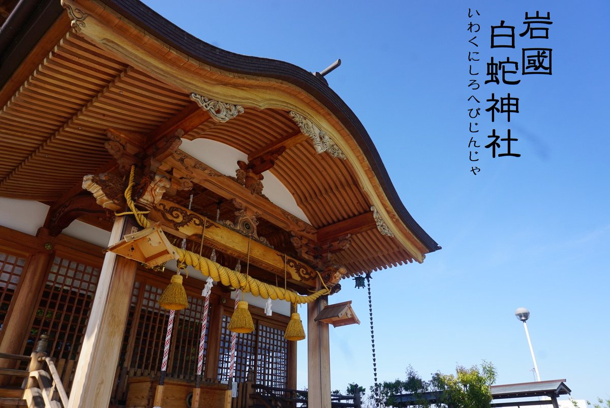 岩國白蛇神社 Shirohebijinja Twitter