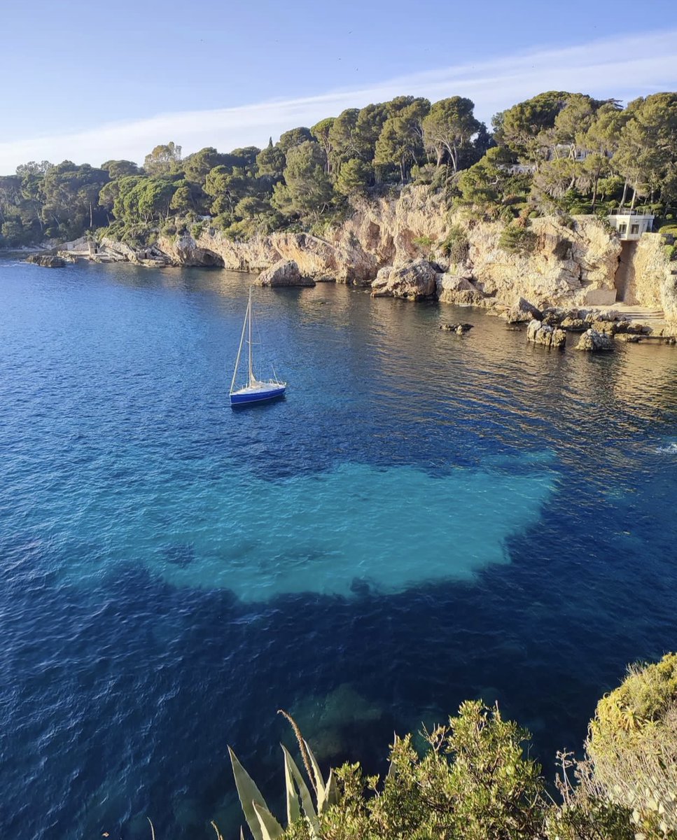 alpesmaritimes tweet media