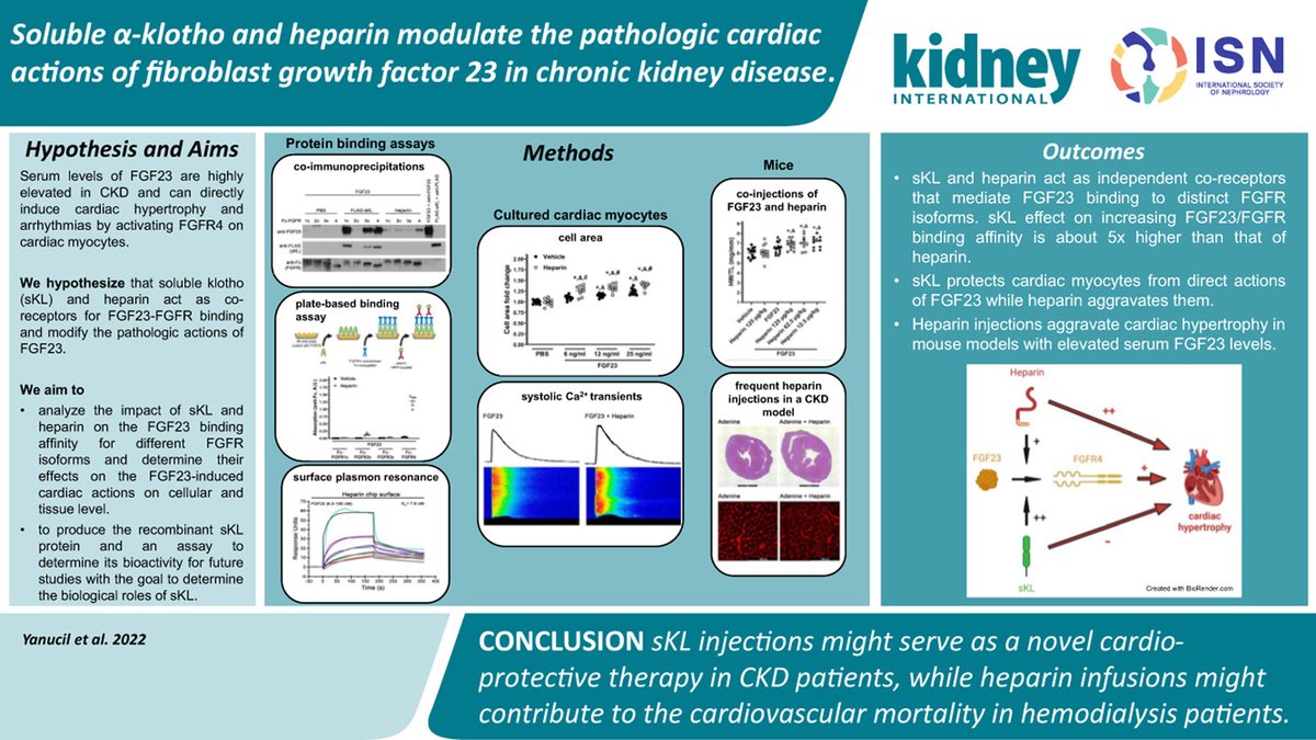 📖 This weekend don't miss our <a href="/Kidney_Int/">Kidney International</a> #ISNFridaySelection: Soluble α-klotho and heparin modulate the pathologic cardiac actions of fibroblast growth factor 23 in chronic kidney disease kidney-international.org/article/S0085-…