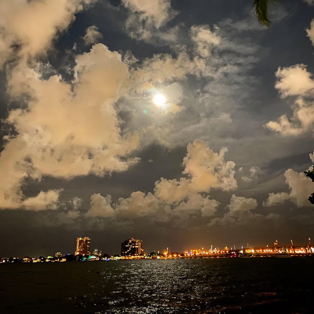 EduardoGuevara's tweet photo. Ella tan sultana, tan alfa disfrutando ser el centro de toda atención.
#MoonYoga #FullMoon https://t.co/drLOZPLxfa