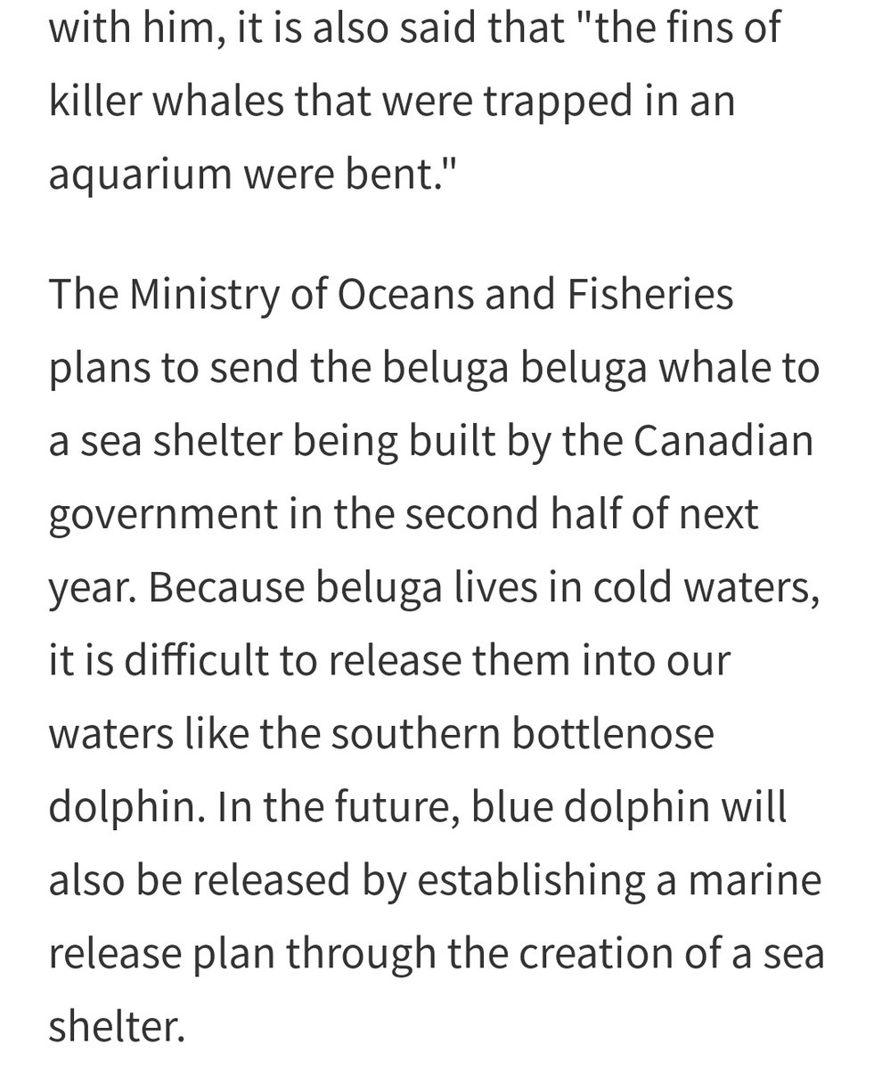 The power of 'Strange Lawyer WooYoungWoo'... Government to return 21 aquarium dolphins to the sea. #ParkEunBin #ExtraordinaryAttorneyWoo