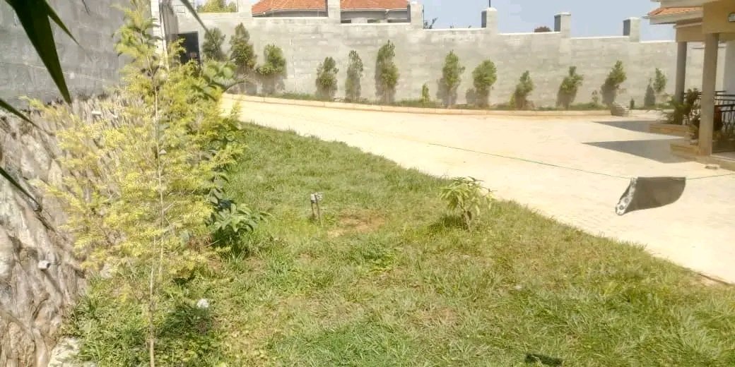 shukranproperty's tweet photo. @wekesa_amos House for sale located in Nalumunye Jomayi estate, #3bedrooms #3bathrooms sitting and dining rooms kitchen,seated on #14Decimals with ready title selling price #290m call 0706592177 https://t.co/vu9pD1cRM1