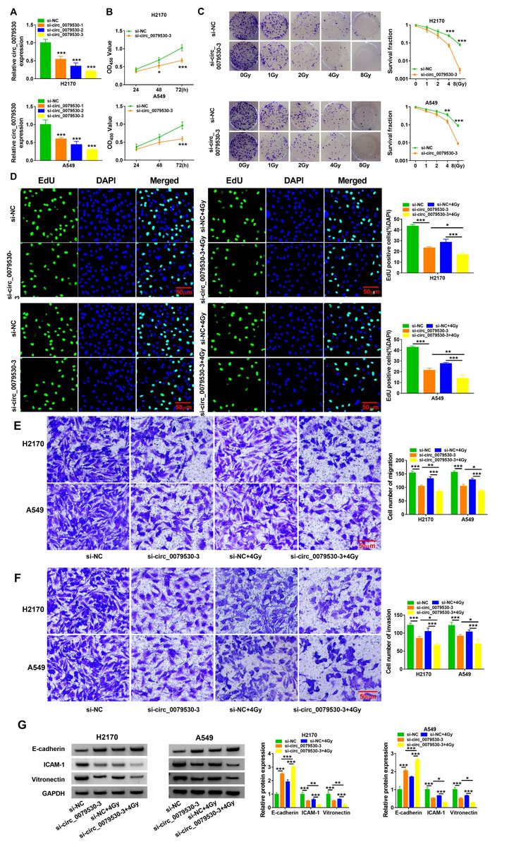 ATCS_journal's tweet photo. Advance Online Publication

Hsa_circ_0079530/AQP4 Axis Is Related to Non-Small Cell Lung Cancer Development and Radiosensitivity https://t.co/l62AYnhKTY 

#AQP4, #circ_0079530, #radiosensitivity, #miR-409-3p, #non-small cell lung cancer https://t.co/gcxeYnhGBK