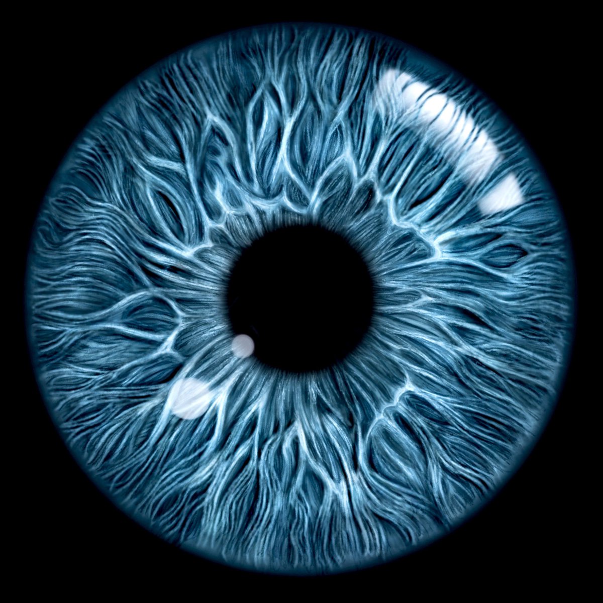 iRiseNFT 👁 Krisandra Kneer tweet media