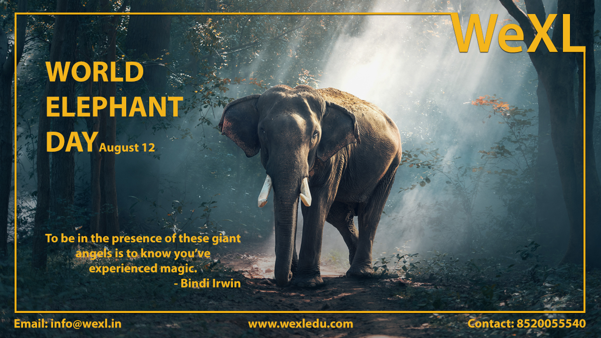 WeXL39437335's tweet photo. #WorldElephantDay
On #WorldElephantDay let us pledge to preserve and conserve this magical and precious co-habitant.
#India #WeXL #CBSE #education #Hyderabad #Elephants #Forestpride #gentlegiant https://t.co/ei59YaXme8