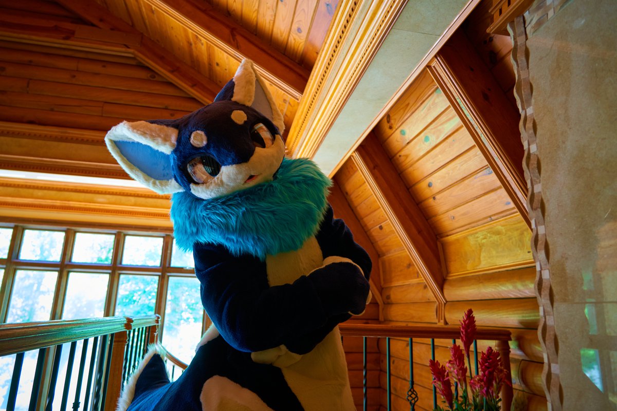 What're you waiting for? #kemonoline #FursuitFriday
