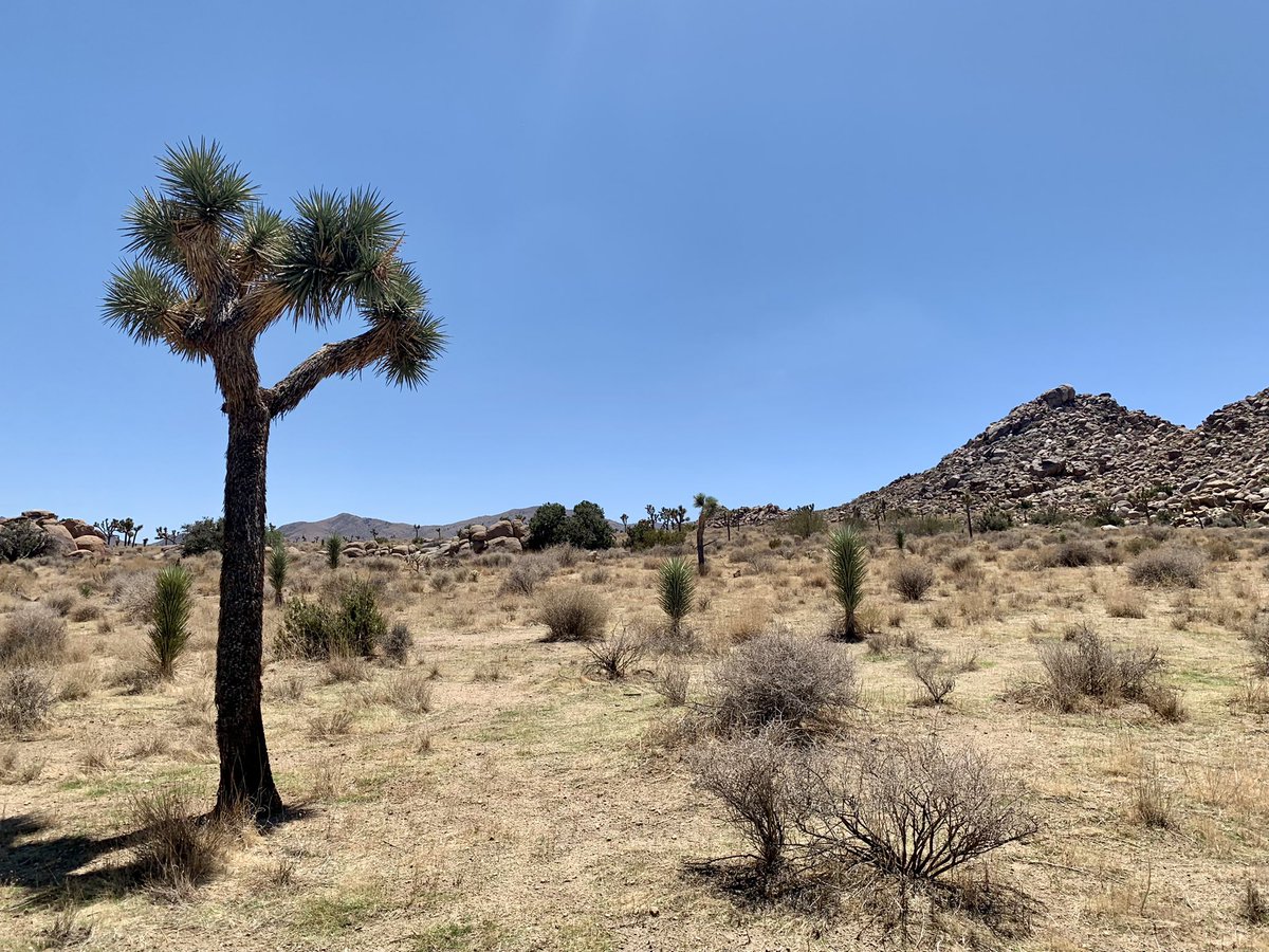 ProjectTfg's tweet photo. On your #California #USA #roadTrip #artcollector #contemporaryart #tfgp https://t.co/qY8ef6elXl