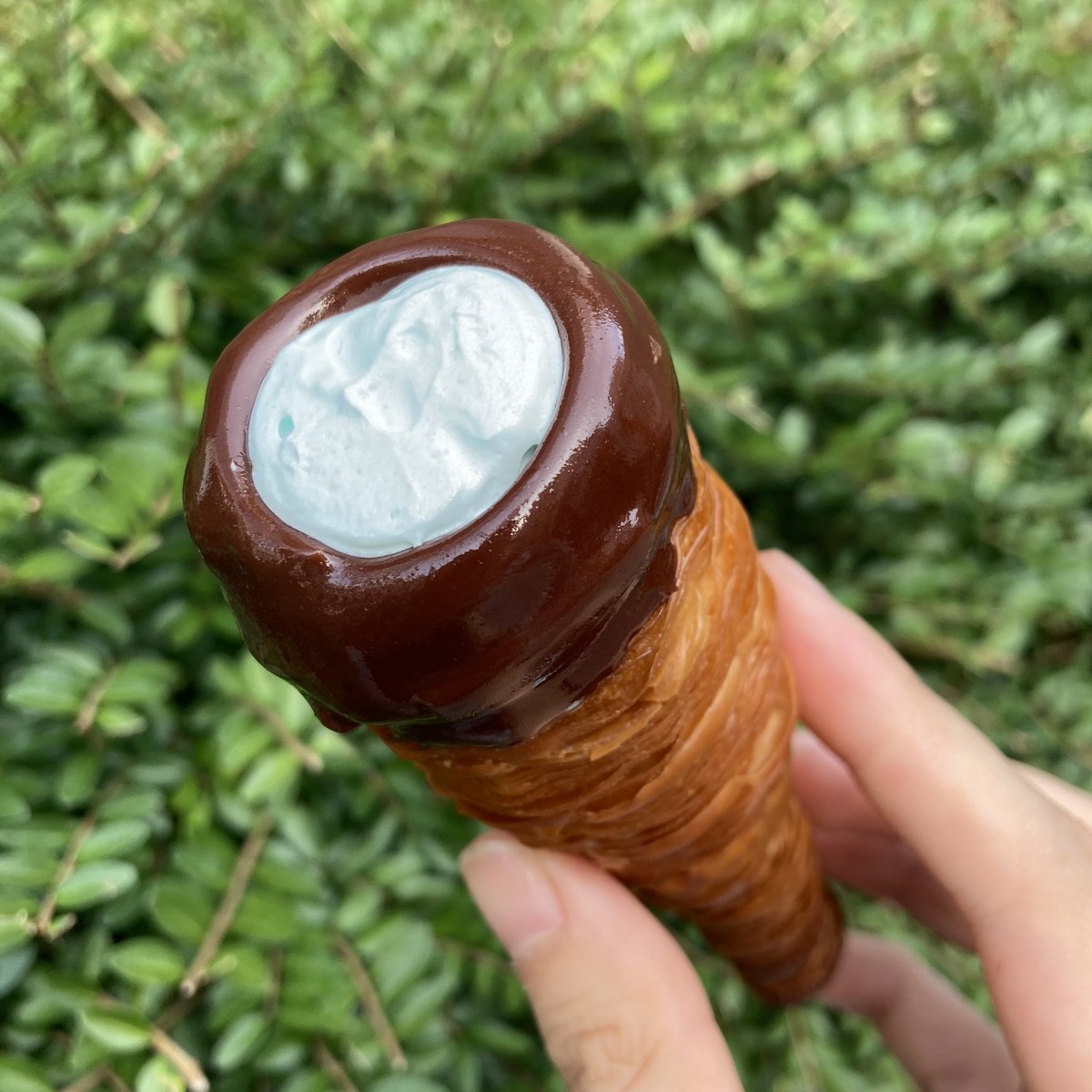 みんなの アンジュ コロネ 口コミ 評判 食べたいランチ 夜ごはんがきっと見つかる ナウティスイーツ