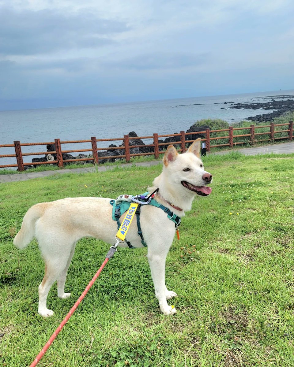 김민경 tweet media