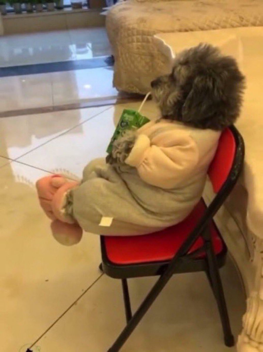 dojaratz's tweet image. if you have a million fans, i am one of them. if you have 50k fans i am one of them. if you have 1 fan i am that fan. if you have 0 fans than i am no longer alive.