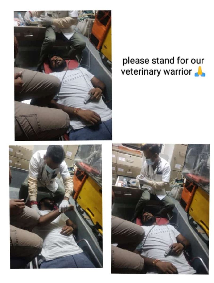 RiyaPatel901's tweet photo. We stand in solidarity with our Veterinary doctors who are fighting against the Inequality in the Stipend provided by Gujarat . The @CMOGuj  should come forward and address the legit demands of the students.

Hats off to our Heros🫂
#indefinite_hunger_strike https://t.co/wy1tell651