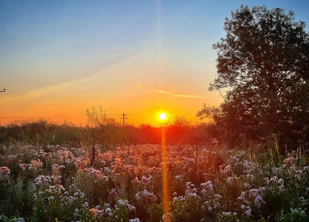 Sunrise in Ballinalack #Westmeath 📍🇮🇪☀️ #FridayVibes