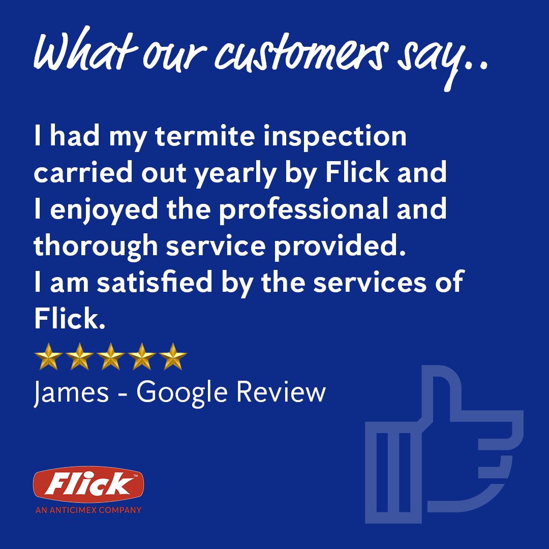 Our friendly technicians have been protecting Aussie homes since 1918, providing tailored advice and outstanding service. 

Get your free quote now, call 13 14 40 or enquire online: bit.ly/3oUM6RB
#5starreview #customerreview #pestcontrol
